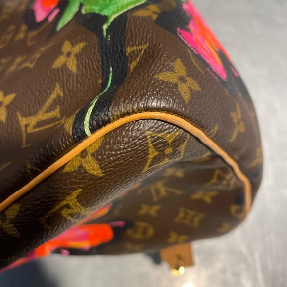 LOUIS VUITTON MONOGRAM ROSES SPEEDY 30 HANDBAG (2008) - Picture 12 of 16